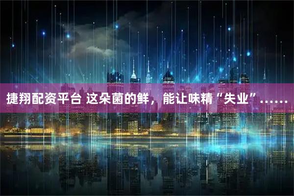 捷翔配资平台 这朵菌的鲜，能让味精“失业”……