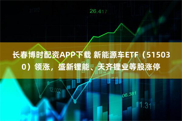 长春博时配资APP下载 新能源车ETF（515030）领涨，盛新锂能、天齐锂业等股涨停